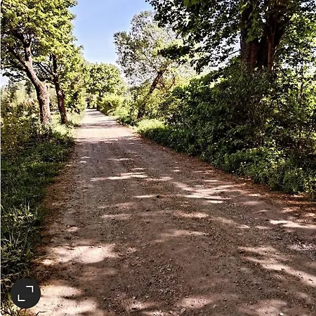 Nasy Biskupiec (Olsztyn)