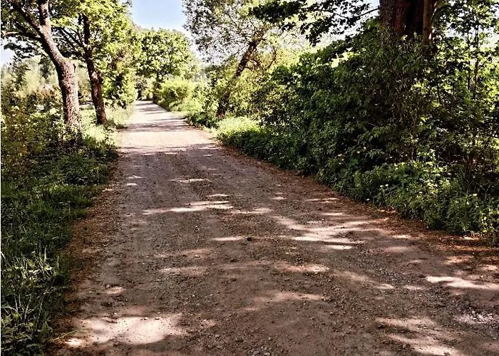 Nasy Biskupiec (Olsztyn)